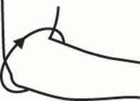 Albuebind SRX_size-guide