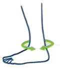 Ankelbeskytter MaleoGrip_size-guide