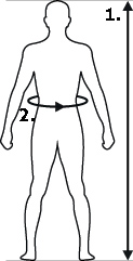 Holdningsvest EXTO™ for en bedre holdning_size-guide