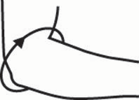 Tennisalbue bandage - EpiCon_size-guide
